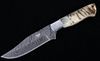 Rocky Mountain Rams Horn Damascus Bozeman Knife
