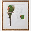 Elizabeth Butterworth (b. 1949): Red Cheeked Macaw