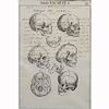 (4) 17th C. Manuscripts  "Skeletons"