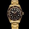 TUDOR HERITAGE BLACK BAY FIFTY-EIGHT BOUTIQUE EXCUSIVE