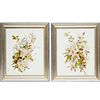 (2) Victorian floral paintings, oil on white glass
