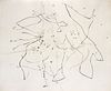 Joan Miro - Untitled IV from "Flux de l