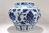 A Chinese Flower-blossom Blue and White Fortune Porcelain Vase 
