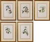 5394089: Five Gould and Richter Prints of Hummingbirds and Flowers E7RDO