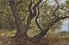 Painting of a Large Oak Tree, Acrylic on Canvas