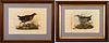 5565177: John Prideaux Selby (English, 1788-1867), "Common
 Gallinule" & "Rail", Hand Colored Engravings E9VDO