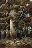 5326005: Malachi Smith (South Africa, 1948-2012), Gum Tree
 in Sunlight, Oil on Board EL5QL