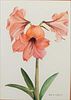5098324: Ruth D. Langhorne (Virginia, 20th Century), Flower,
 Watercolor on Paper EL1QL