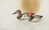 5097066: William Entrekin (Georgia, b. 1946), Two Duck Decoys,
 Watercolor on Paper EL1QL