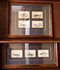 5157928: Two Framed Sets of Hand-Colored Engravings of Whales EL3QO
