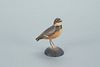 Miniature Semipalmated Plover, A. Elmer Crowell (1862-1952)