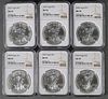 (6) 2020 Silver Eagle S $1 NGC MS70