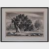 Russell T. Limbach (1904-1975): Blasted Tree