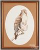 J. Randolph Rowe watercolor of a hawk