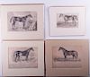 19th Century Equestrian Prints, Four (4)