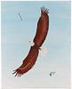 Cheyenne Larry Bixby Original Eagle Painting