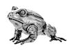 An Italian Silver Frog, Mario Buccellati, Milan, realistically modeled.