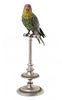 An Austrian Cold Painted Bronze Figure Height overall 16 1/2 inches.