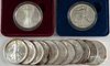 Thirteen 1 ozt. fine silver American Eagle coins.