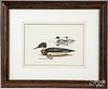James P. Fisher watercolor of a merganser