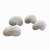 Lot of 4 Large Mother Of Pearl Nautilus Shells