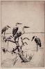 Frank W. Benson (1862-1951) Herons at Rest
