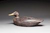 Black Duck by Augustus Aaron Wilson (1864-1950)