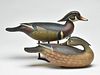 Pair of wood ducks, Bob White, Tullytown, Pennsylvania.