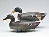 Pair of mallards, Hector Whittington, Oglesby, Illinois, 2nd to 3rd quarter 20th century.