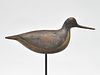 Curlew from Seaford, Long Island, last quarter 19th century.