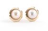 Pair of 14K & Cultured Pearl Earrings