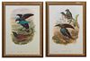 William Matthew Hart (1830-1908, Irish), "Laphorina Minor, Ramsay," and "Lophorina Superba," 21st c., pair of color prints, both presented in matching