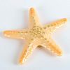 Little Starfish Yellow 1008211 - Lladro Porcelain Decor