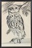 Owl on Branch, 20th C. B & W Graphic