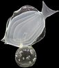 Licio Zanetti (20th/21st C) Murano Glass Sculpture 