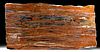Massive Arizona Petrified Wood Slab - Board Cut