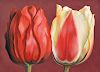 Lowell Nesbitt 'Two Tulips' Painting, Original Work