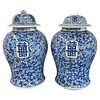Pair of 19th Century Blue and White Lidded Temple