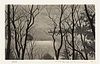 Ryohei Tanaka (1933-2019), Trees on the Hill