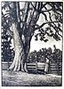 J. J. Lankes Wood Engraving, Elm Tree in Aurora