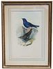 Gould Birds of Asia Lithograph