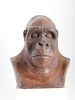 Anne Jo Patinated Plaster Sculpture of a Gorilla Head, 20th Century