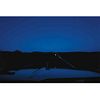 WILFRED VANDENHOVE, Take off (in blue), de la serie The Ram, Firmado y fechado 2006 al reverso, Archival pigment print s/n, 50 x 75 cm