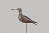 The Harmon Hollow Nantucket Curlew Decoy 