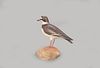 Turned-Head Semipalmated Plover, A. Elmer Crowell (1862-1952)