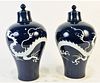 PAIR OF CHINESE BLUE AND WHITE DRAGON JARS