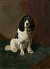 PORTRAIT OF AN ENGLISH SPRINGER SPANIEL OIL PAINTING