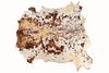 Exotic Tri-Colored Speckled Cowhide c. Mid 1900's