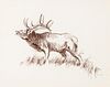 Bob Kuhn, Untitled (Elk Bugling)