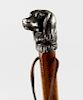 An early 20th century stained wooden walking cane, the cast metal handle modelled as the head of a s